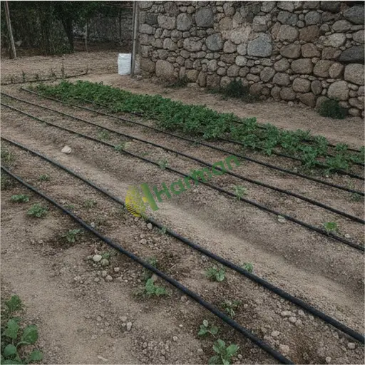 Kastamonu Seydiler'de Aranan Damla Sulama Sistemi