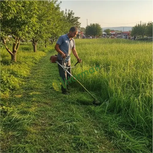 Denizli Baklan'den çim biçme makinesi alıcısıyım