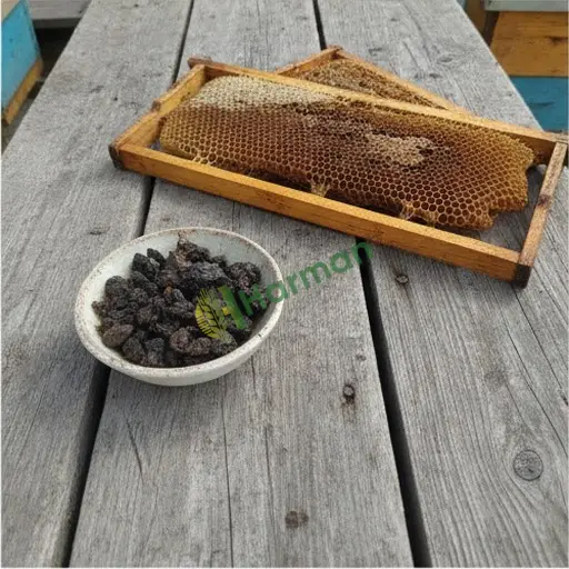 Denizli Çardak'ta 50 kg doğal propolis alınır