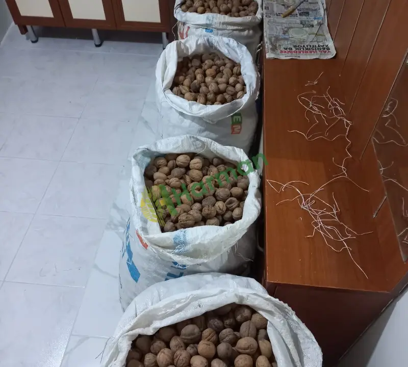 Divriği Karasarköyü Yağ Oranı Yüksek Kaliteli 1.sınıf Ceviz - 3
