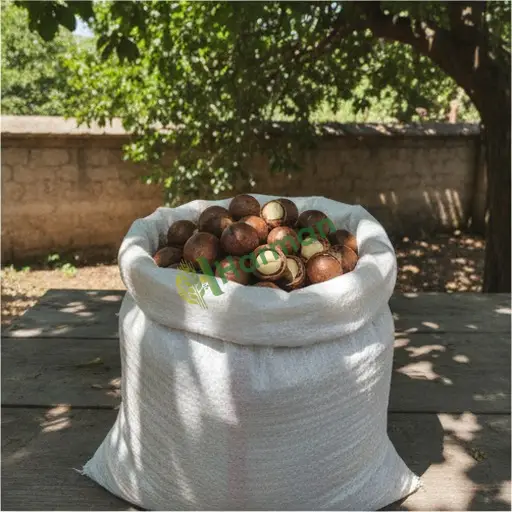 Diyarbakır Bağlar'da macadamia satılık