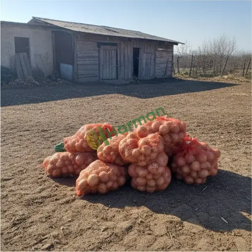 Diyarbakır Çermik'te soğan alıyorum