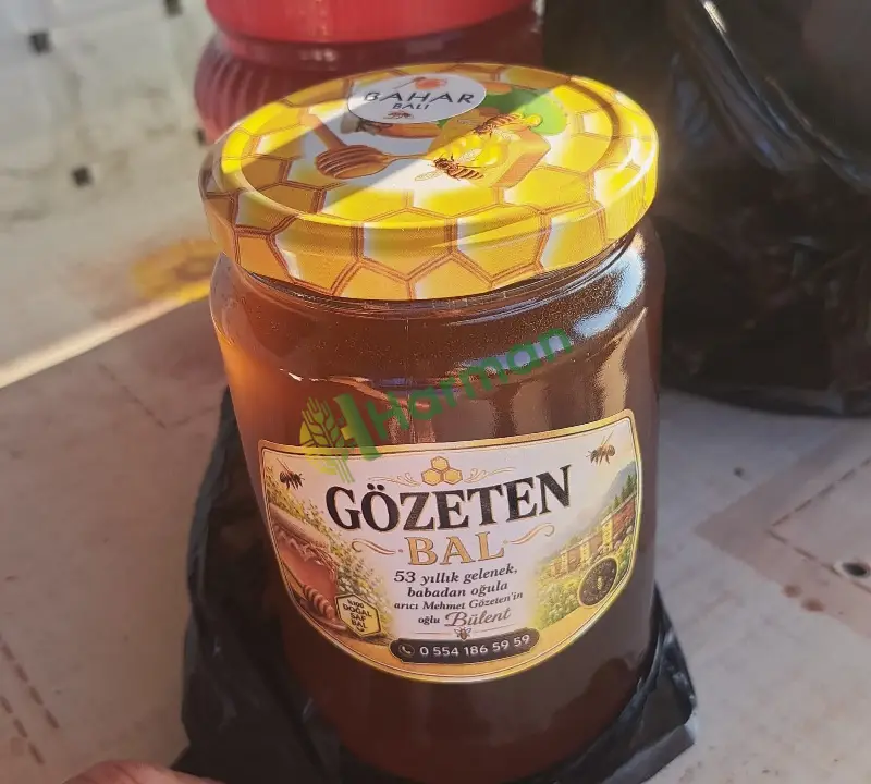 Doğal Bahar Balı