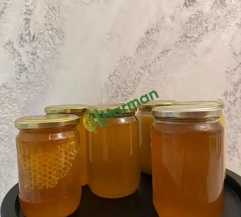 Doğal Olarak - 3
