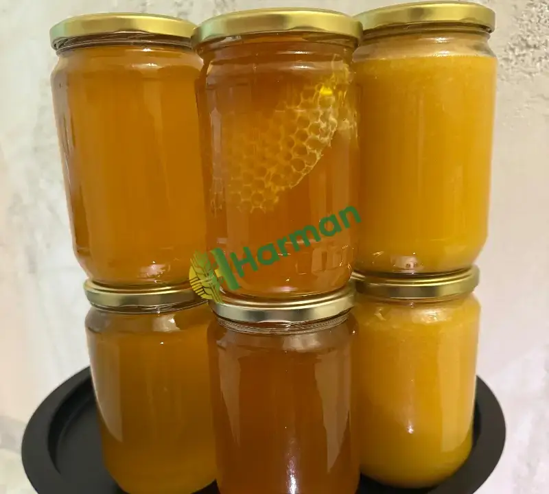 Doğal Olarak - 4