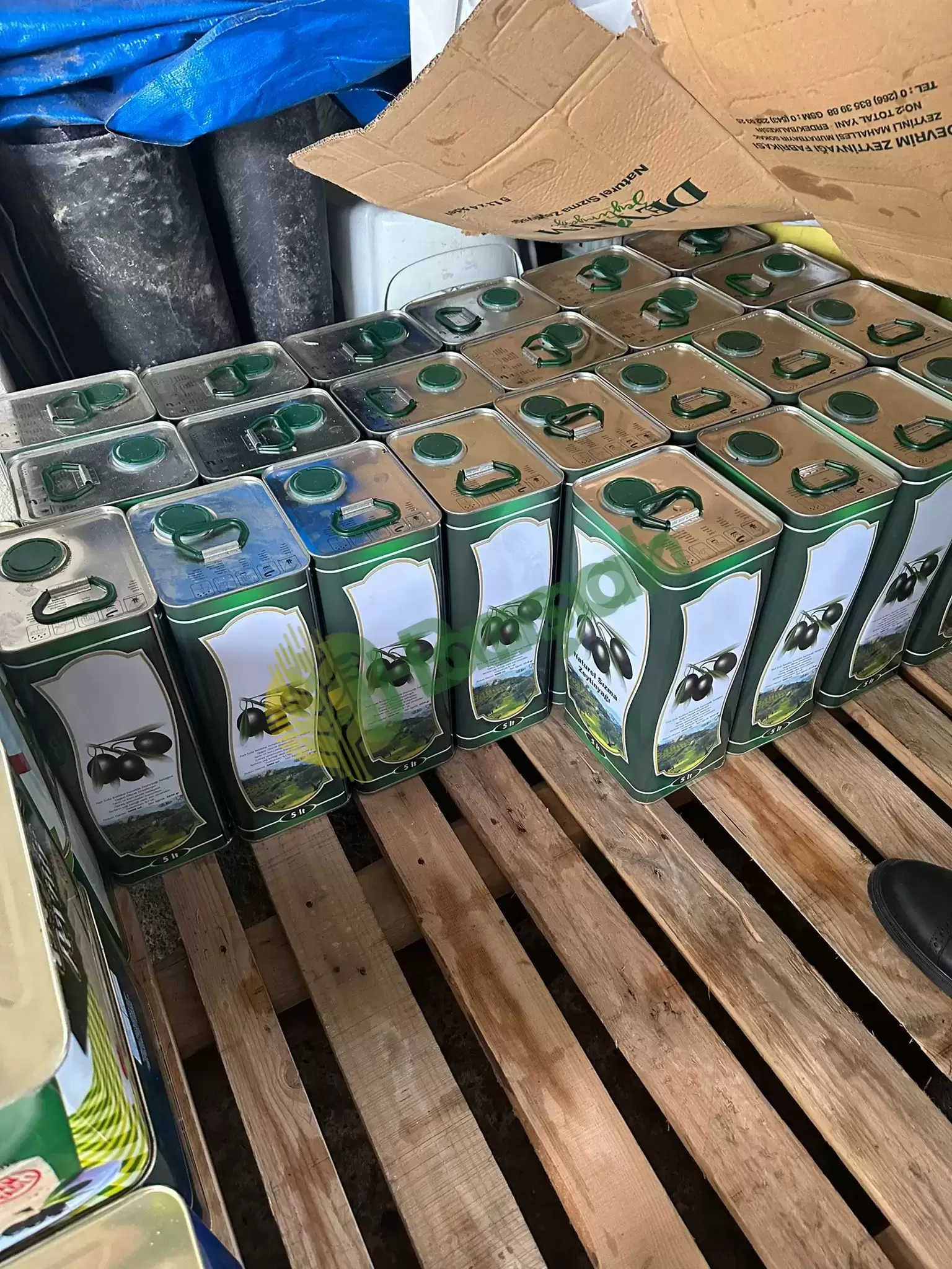 Doğal ve Saf Organik Zeytinyağı - 5 Litre Teneke