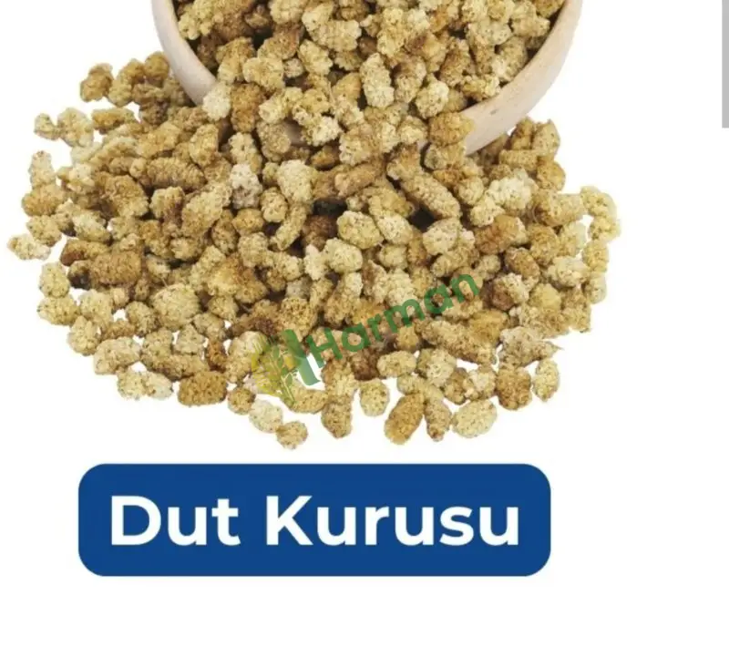 Dut kurusu Elazığ