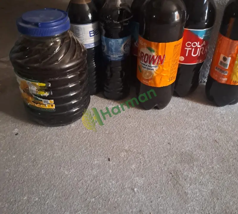 Dut pekmezi