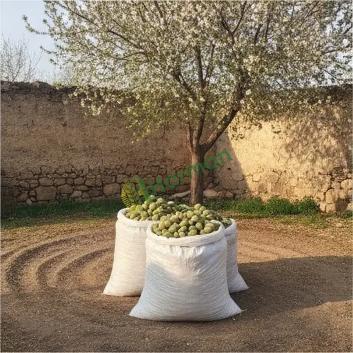 Edirne İpsala'da badem alıcısıyım