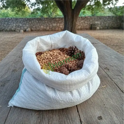 Edirne Enez'de çam fıstığı satılık