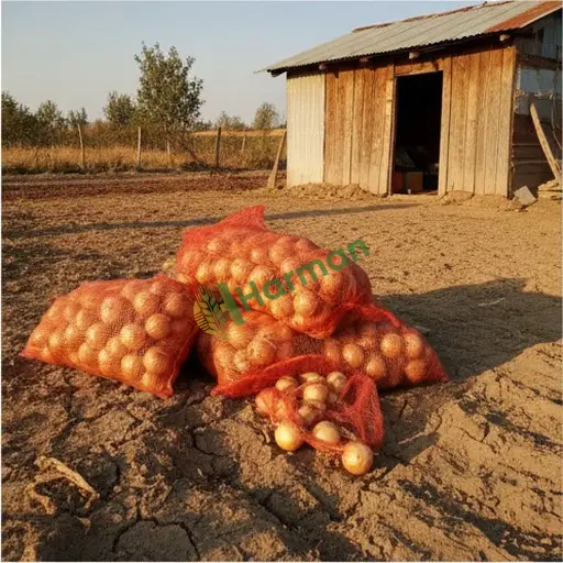 Edirne Enez'de soğan satılır