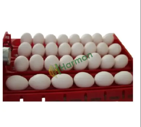 EFE 60'lık Kuluçka Makinesi