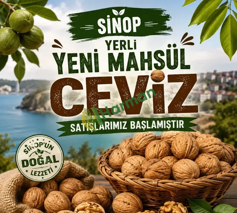 EKİM AYI TESLİMAT CEVİZ SATIYORUM