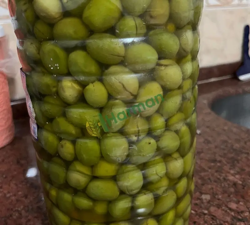El kırması Sarıulak Kurulmuş Sofralık Zeytin