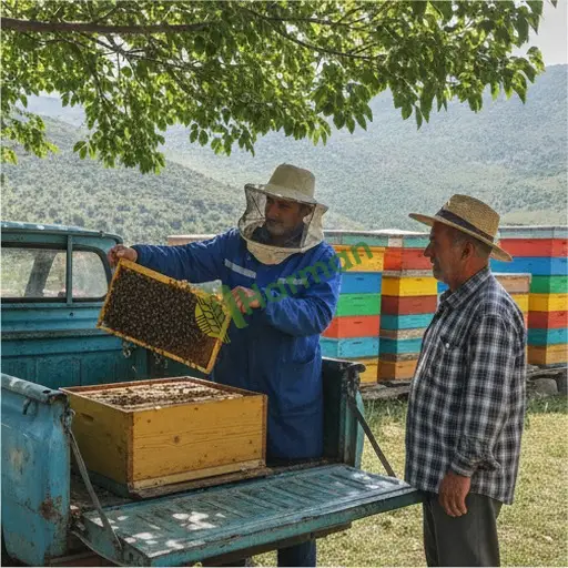 Arıcılık Danışmanlığı Aranan - Elazığ Keban