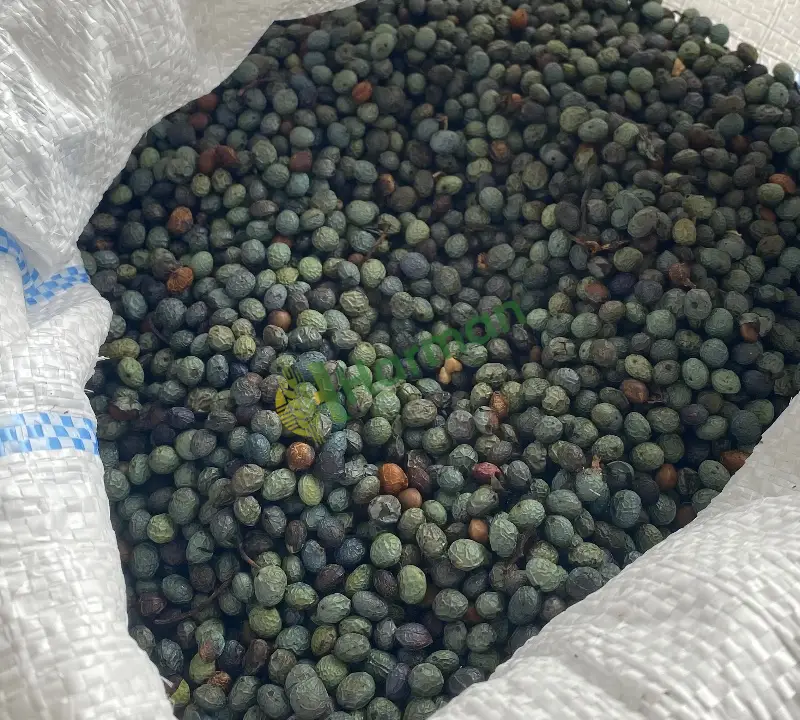 Elazığ Çedene Kahve Çekirdeği (Menengiç) - 2