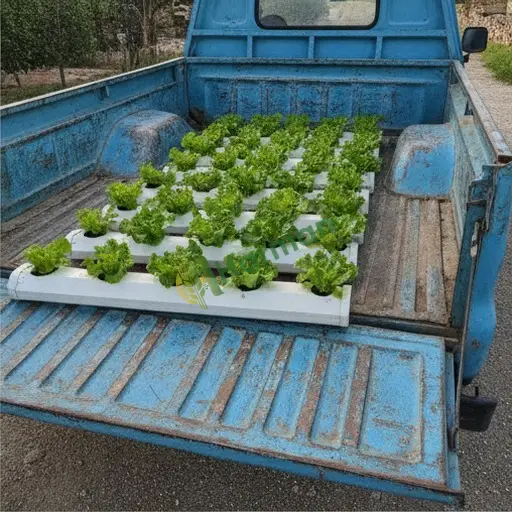 Elazığ Arıcak'ta hidroponik NFT sistemi arıyorum