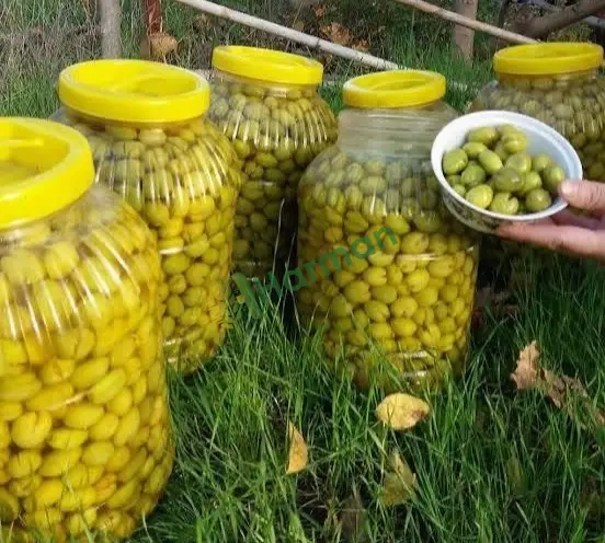 Elde Kırma Zeytin..5 Litrelik Bidonlarda…