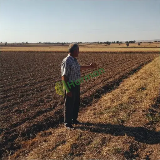 Kilis Merkez'de tarımsal emlak danışmanı lazım