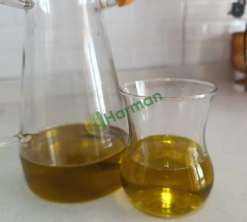 En doğalından zeytinyağı