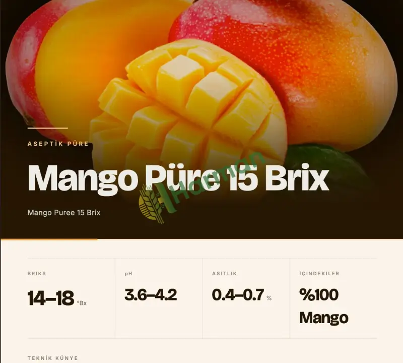 Endüstriyel Aseptik Mango Püresi — %100 Mango, 15 Brix, Katkısız