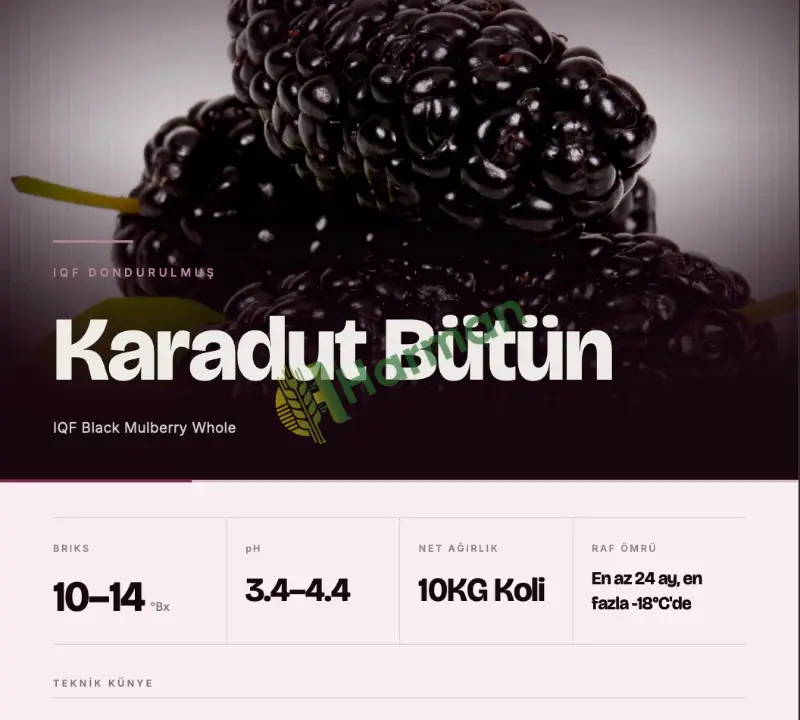 Endüstriyel IQF Karadut — Kurtsuz, -18°C'de Saklanmış, 10 kg Mavi Poşet, Kolili-Paletli