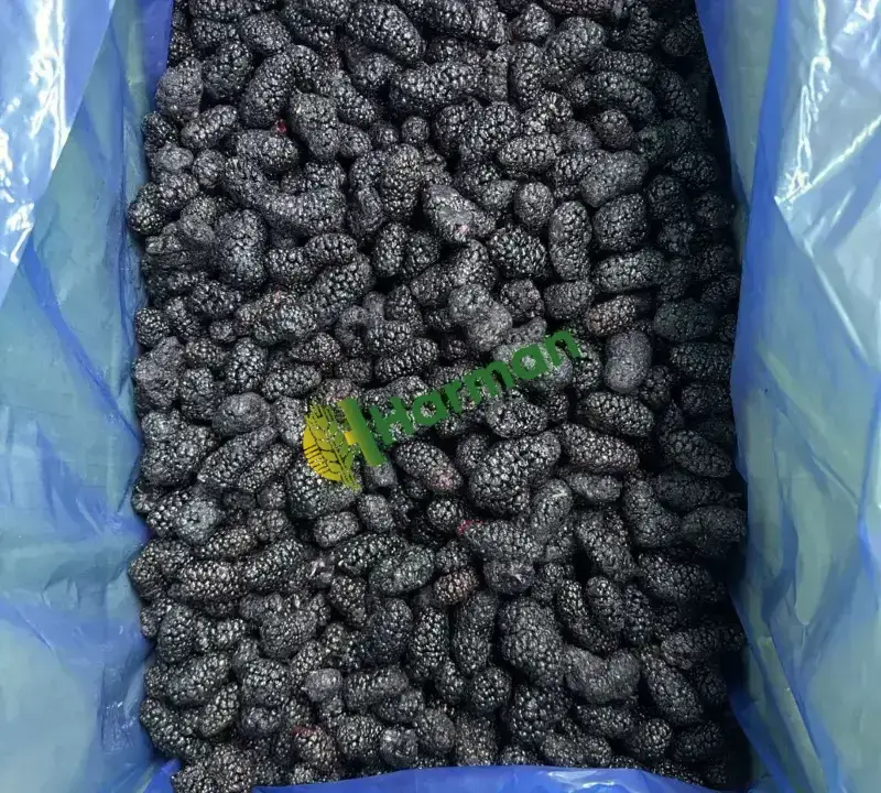 Endüstriyel IQF Karadut — Kurtsuz, -18°C'de Saklanmış, 10 kg Mavi Poşet, Kolili-Paletli