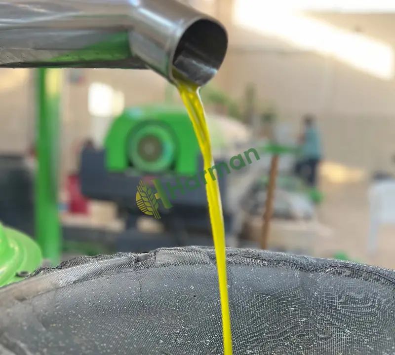Erken hasat zeytinyağı