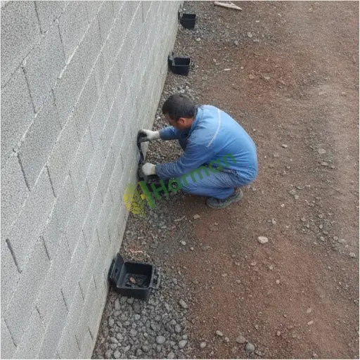 Erzincan İliç'te kemirgen ilaçlama lazım