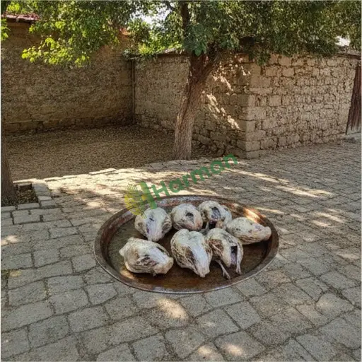 Erzincan Merkez'de bıldırcın eti satıyorum