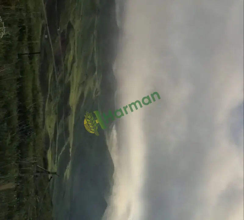 Erzurum/Tortum-Hamidiye