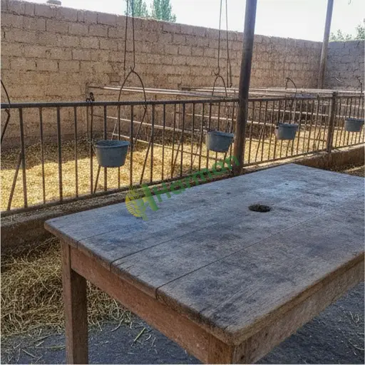 Eskişehir İnönü'de doğum boksları satılık