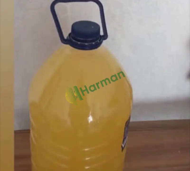 Ev yapımı elma sirkesi