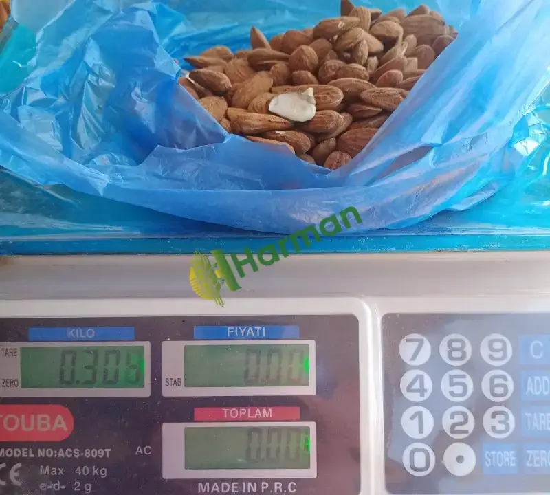 Feragnes Yeni Hasat 2 ton Badem
