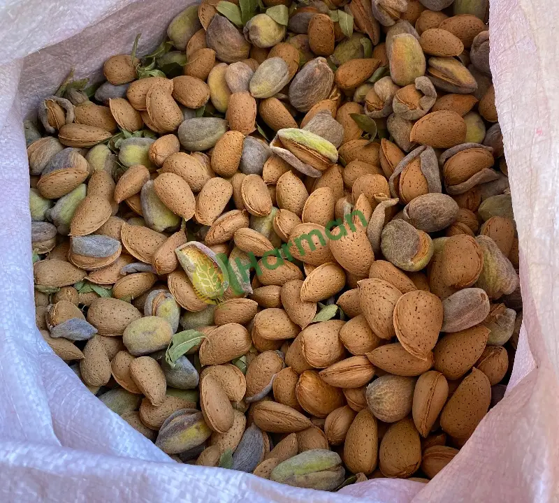 Ferragnes iyi kalite
