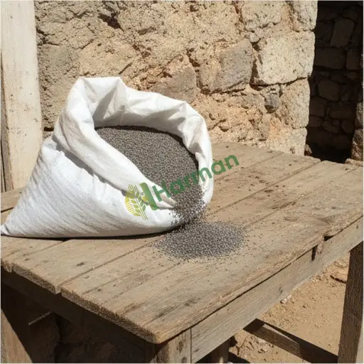 Hatay Belen fesleğen tohumu alınır