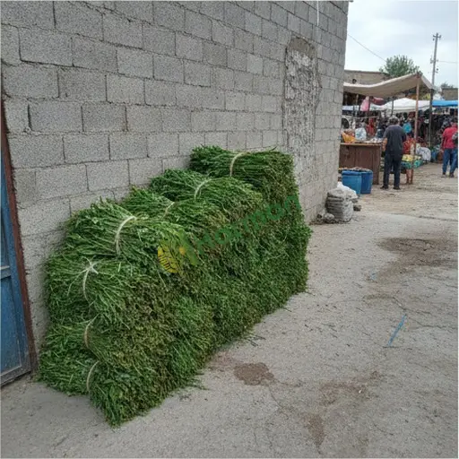 Amasya Göynücek'ten Fiğ Alınır