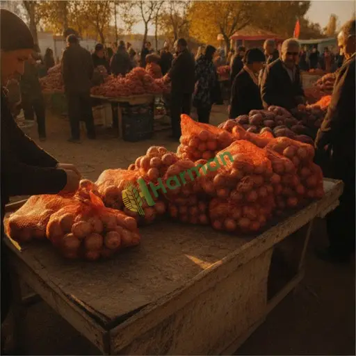 Çorum Bayat'ta file paketleme işi yaptırılacak