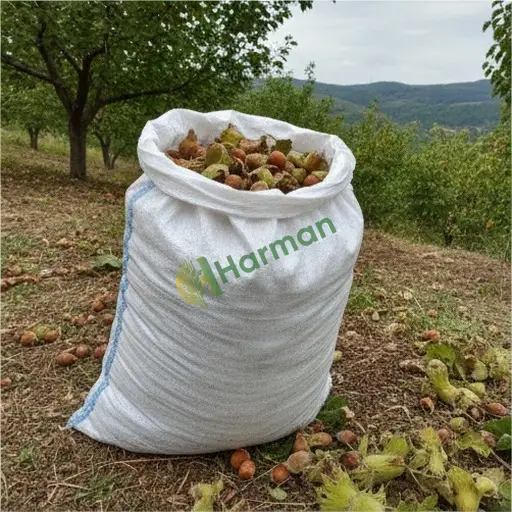 Fındık Aranan / Niğde Çiftlik