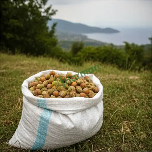 Fındık Aranan / Muğla Köyceğiz