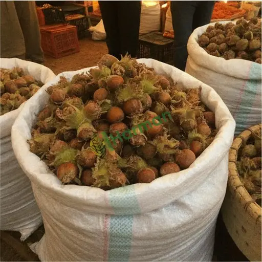 Sivas Ulaş fındık alınır