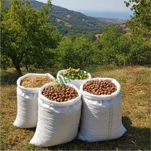 Bolu Yeniçağa'den Aranan Fındık