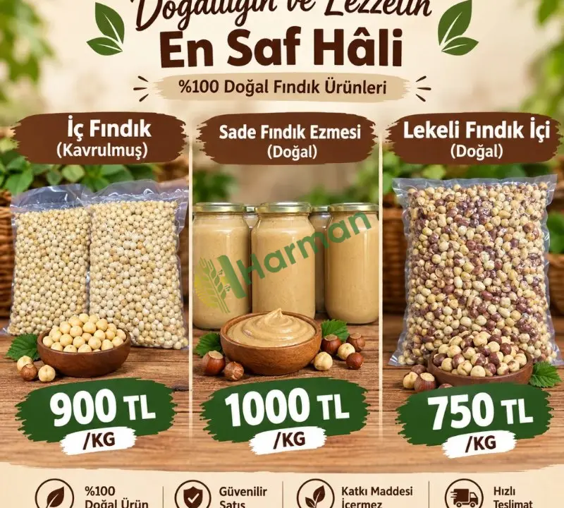 Fındık ve fındık ezmesi katkısız doğal