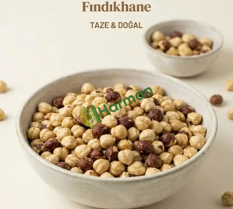 Fındıkhane Vakumlu Paket Kavrulmuş İç Fındık 500 Gr - 4