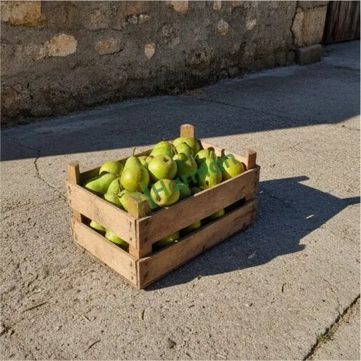 Gaziantep Nurdağı'nda armut alıyorum