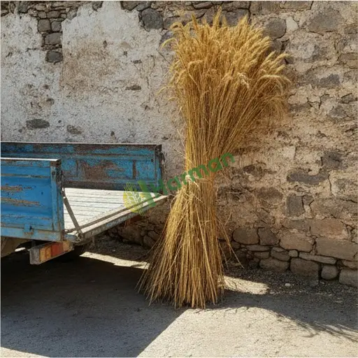 Gaziantep Nurdağı'nda çavdar satılır
