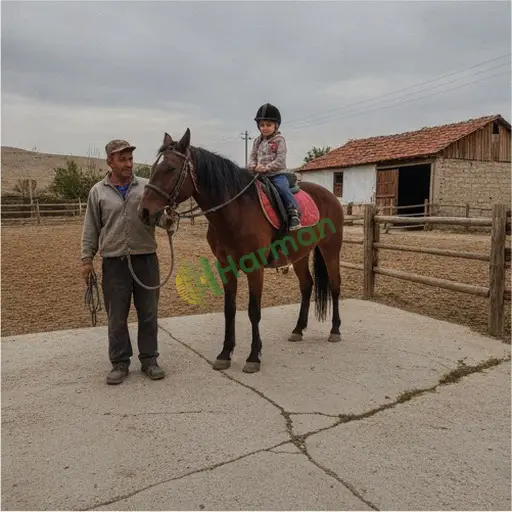Gümüşhane Kürtün'de at binicilik eğitimi satılıktır
