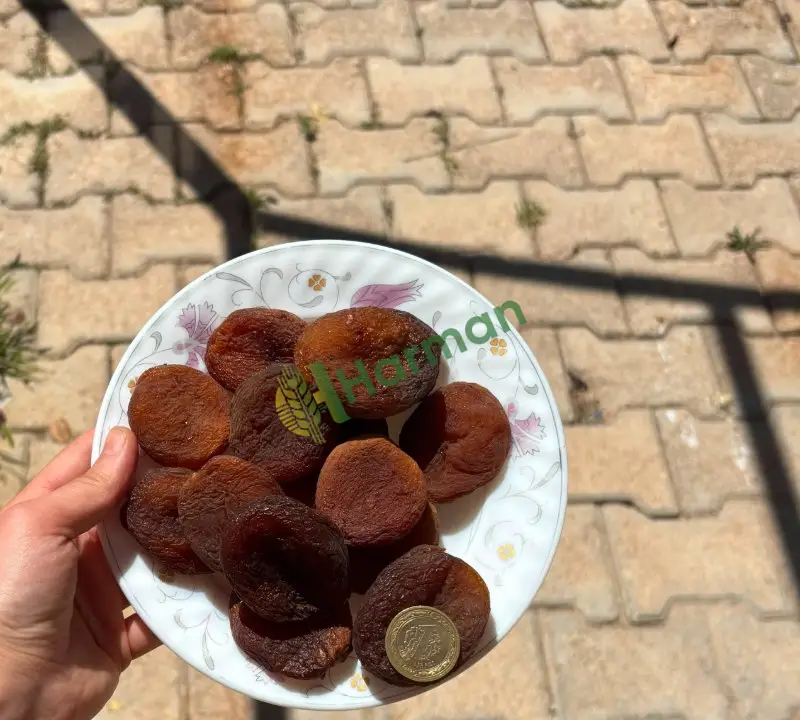 Kayısı Şekerpare hal fiyatı