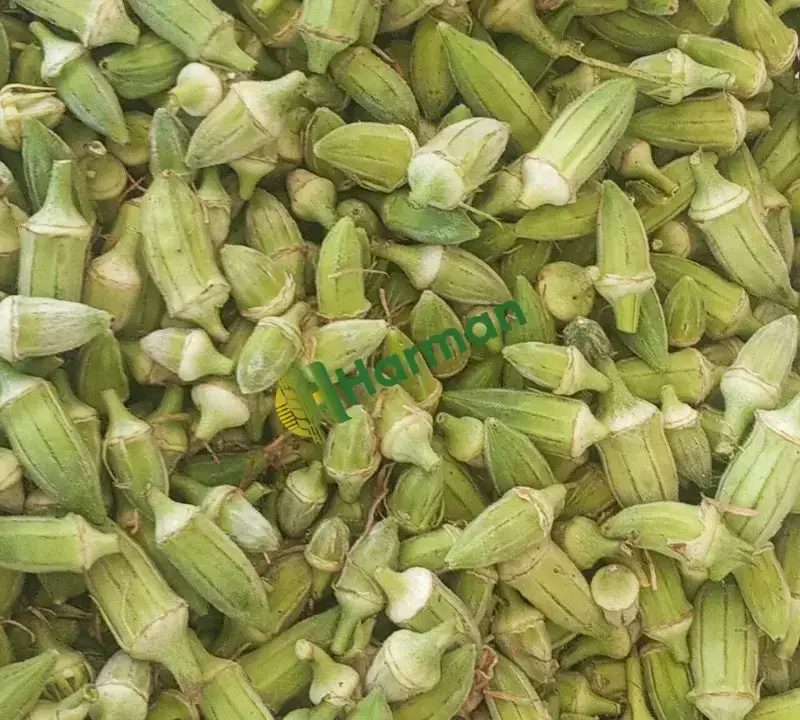 Günlük bamya