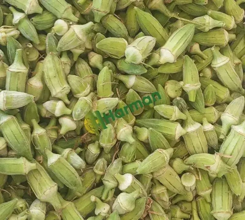Günlük bamya